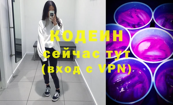 дмт Лагань