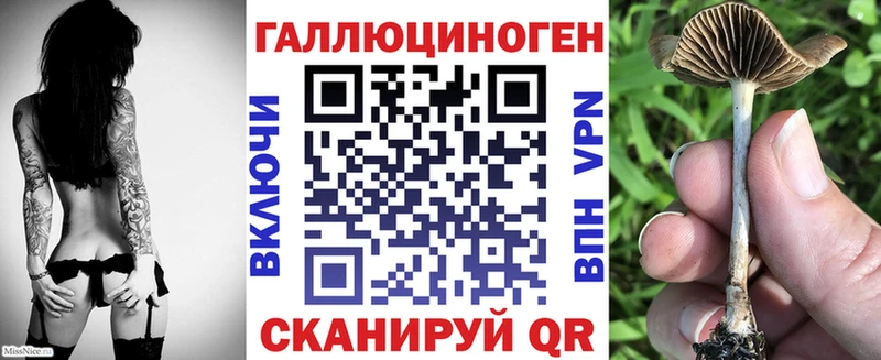 Псилоцибиновые грибы MAGIC MUSHROOMS  Учалы 