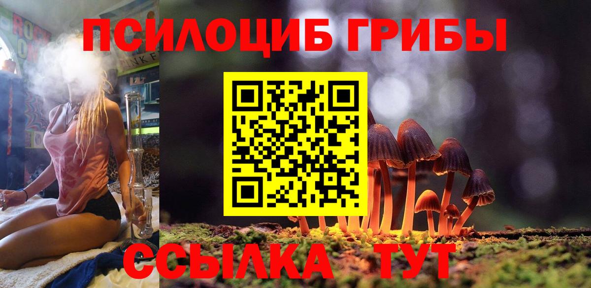 Псилоцибиновые грибы мухоморы  Псилоцибиновые грибы Cubensis  Учалы  Вход с VPN 