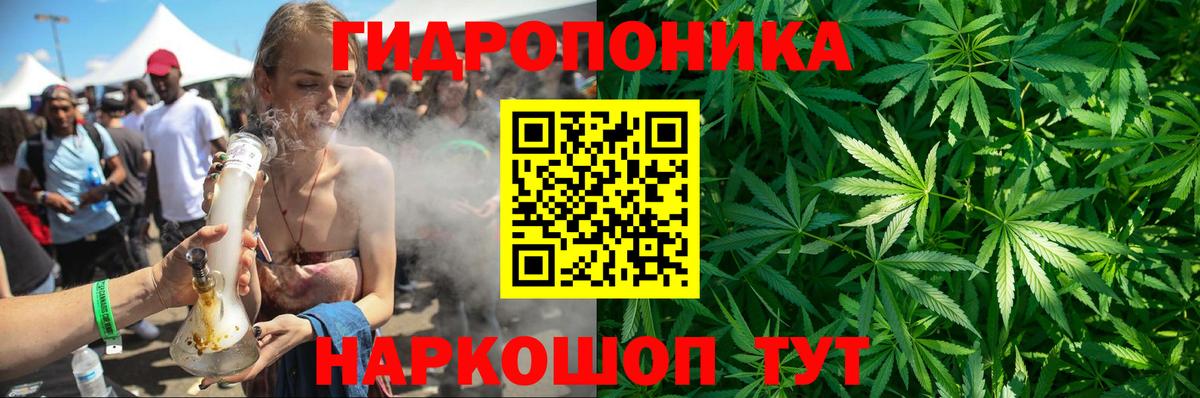 Бошки Шишки планчик  Бошки марихуана SATIVA & INDICA  Конопля White Widow  Бошки Шишки марихуана  Учалы 